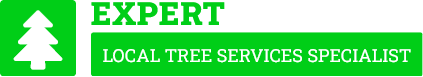 Invercargill Tree Services - Tree Removal Invercargill